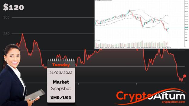 Click to Enlarge

Name: XMR-Prices-Floating-Higher.jpg
Size: 180 KB