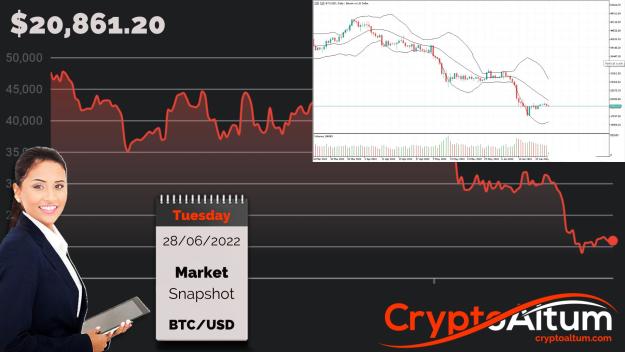 Click to Enlarge

Name: BTC-Corrects-from-$22k.jpg
Size: 186 KB