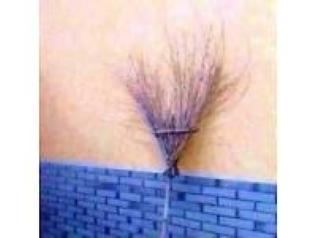 Click to Enlarge

Name: Besen an Wand.JPG
Size: 35 KB