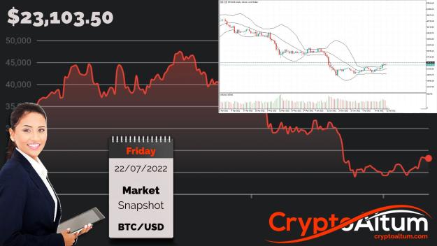 Click to Enlarge

Name: BTC-Weekly-Highs-above-$24.4k.jpg
Size: 189 KB