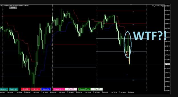 Click to Enlarge

Name: 6 gold 2.jpg
Size: 166 KB