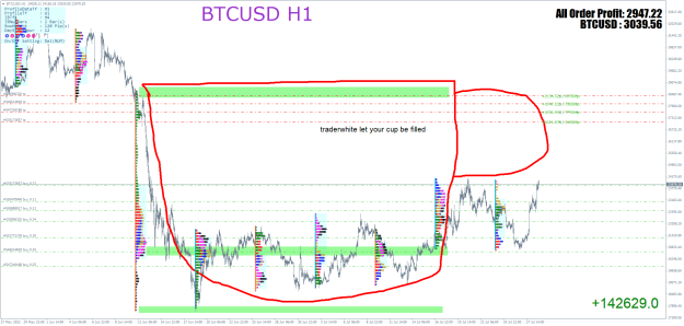 Click to Enlarge

Name: BTCUSDH1.png
Size: 66 KB