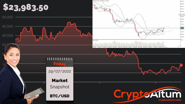 Click to Enlarge

Name: BTC-Bulls-Blooming.jpg
Size: 190 KB