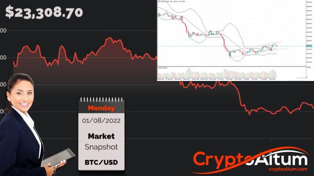 Click to Enlarge

Name: BTC-Critical-Support-at-$23k.jpg
Size: 179 KB