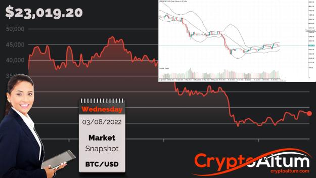 Click to Enlarge

Name: BTC-Flatlines-Above-$23k.jpg
Size: 186 KB