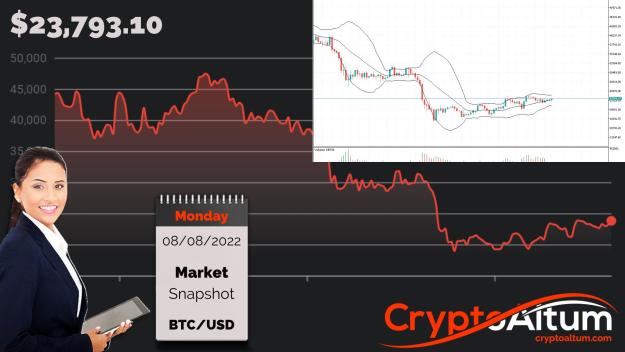 Click to Enlarge

Name: BTC-Primary-Support-at-$22.5k.jpg
Size: 178 KB