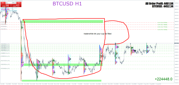 Click to Enlarge

Name: BTCUSDH1.png
Size: 69 KB