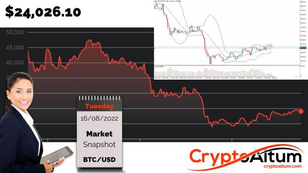 Click to Enlarge

Name: BTC-Liquidation-Line-at-$25.23k.jpg
Size: 202 KB
