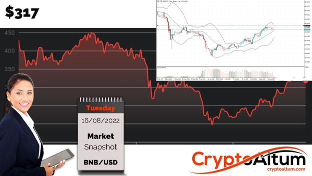 Click to Enlarge

Name: BNB-Finds-Support-at-$340.jpg
Size: 199 KB