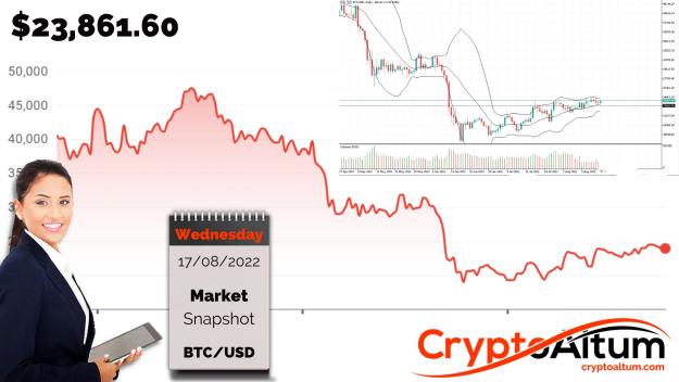 Click to Enlarge

Name: BTC-Adds-2-Percent.jpg
Size: 192 KB