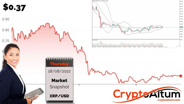 Click to Enlarge

Name: XRP-Resistance-at-$0.40.jpg
Size: 184 KB