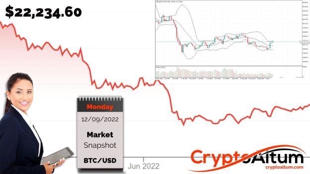 Click to Enlarge

Name: BTC-Bottoming-Up.jpg
Size: 182 KB