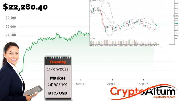 Click to Enlarge

Name: BTC-Rallies-13-Percent.jpg
Size: 179 KB