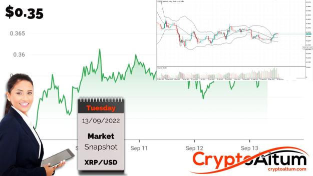 Click to Enlarge

Name: XRP-Buyers-Upbeat.jpg
Size: 181 KB
