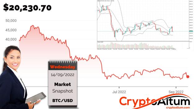 Click to Enlarge

Name: BTC-Flash-Crashed-from-$22.7k.jpg
Size: 193 KB