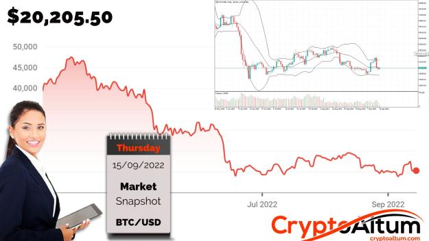 Click to Enlarge

Name: BTC-Under-Pressure.jpg
Size: 188 KB