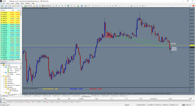 Click to Enlarge

Name: MetaTrader 4 IC Markets.png
Size: 61 KB