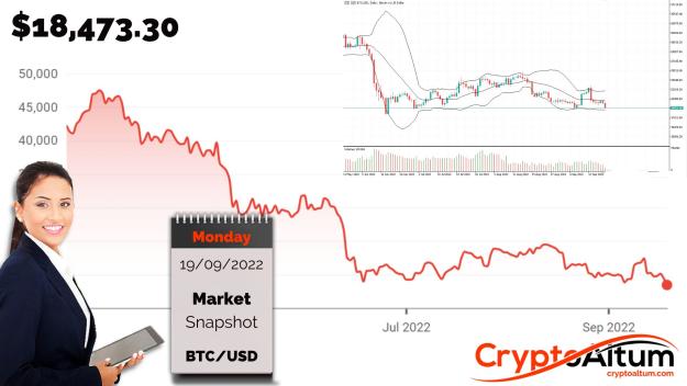 Click to Enlarge

Name: BTC-Down-26-Percent.jpg
Size: 179 KB