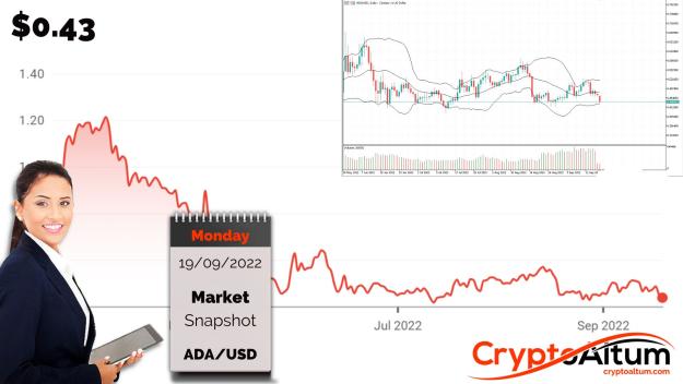 Click to Enlarge

Name: ADA-Sells-Off.jpg
Size: 178 KB