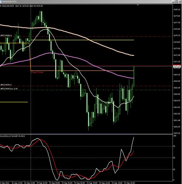 Click to Enlarge

Name: 6 gold 3.jpg
Size: 181 KB