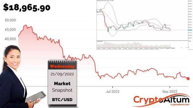 Click to Enlarge

Name: BTC-Meltdown.jpg
Size: 184 KB