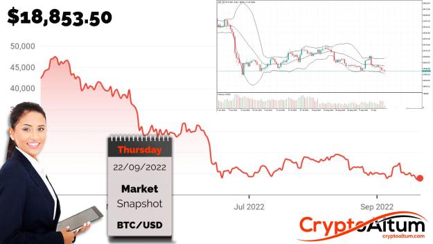 Click to Enlarge

Name: BTC-Drops-26-Percent.jpg
Size: 184 KB