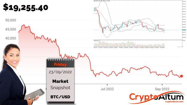 Click to Enlarge

Name: BTC-Bulls-Rejuvenated.jpg
Size: 181 KB