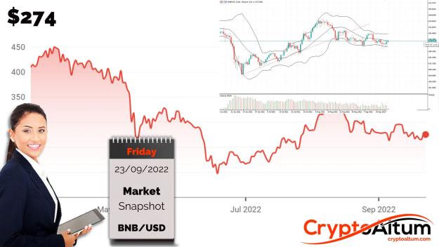 Click to Enlarge

Name: BNB-Recovers.jpg
Size: 182 KB