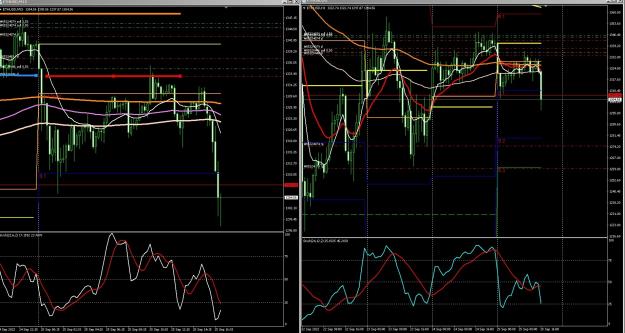 Click to Enlarge

Name: 6 gold 2.jpg
Size: 447 KB