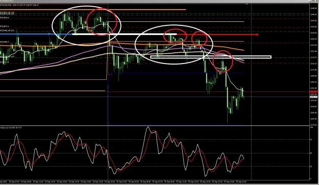 Click to Enlarge

Name: 6 gold.jpg
Size: 416 KB