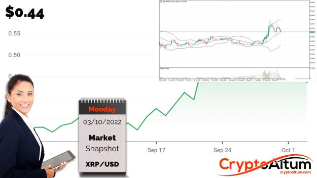 Click to Enlarge

Name: XRP-Remains-Bullish.jpg
Size: 162 KB