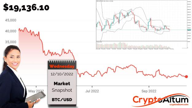 Click to Enlarge

Name: BTC-Sellers-Press-On.jpg
Size: 188 KB