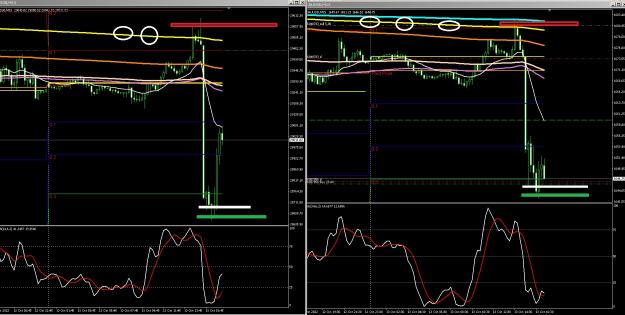 Click to Enlarge

Name: 6 gold 2.jpg
Size: 368 KB