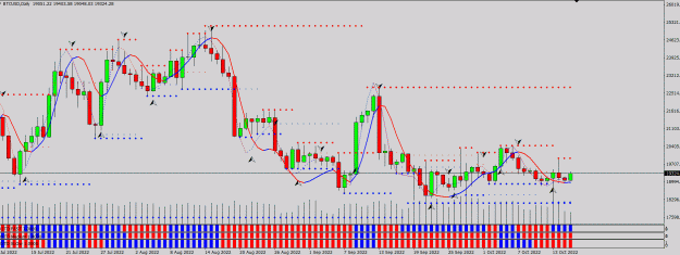 Click to Enlarge

Name: BTC daily.gif
Size: 57 KB