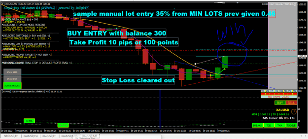 Click to Enlarge

Name: buy entry with 300.PNG
Size: 39 KB