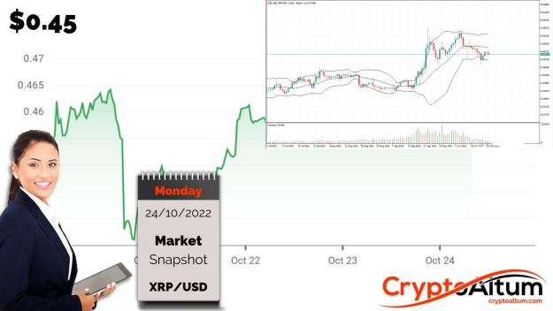 Click to Enlarge

Name: XRP-Adds-7-Percent.jpg
Size: 168 KB