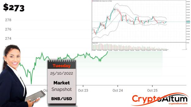Click to Enlarge

Name: BNB-Broadly-Bullish.jpg
Size: 173 KB