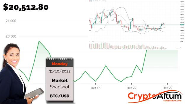 Click to Enlarge

Name: BTC-May-Break-Above-$23k.jpg
Size: 180 KB