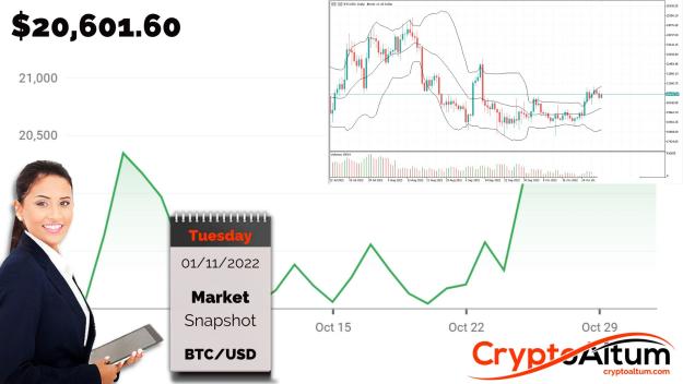 Click to Enlarge

Name: BTC-Critical-Support-at-$20.5k.jpg
Size: 181 KB