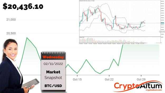 Click to Enlarge

Name: BTC-Contracts-from-$21k.jpg
Size: 181 KB