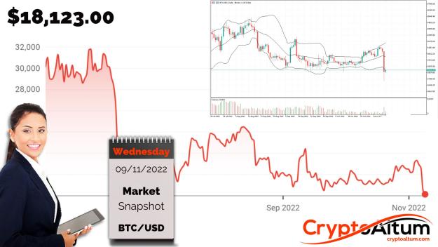 Click to Enlarge

Name: BTC-Support-at-$17.5k.jpg
Size: 191 KB