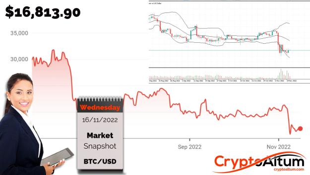 Click to Enlarge

Name: BTC-Bears-Slowing-Down.jpg
Size: 182 KB