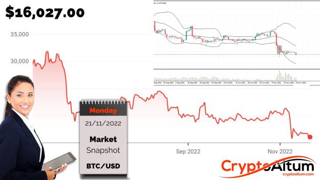 Click to Enlarge

Name: BTC-Inside-Bear-Flag.jpg
Size: 180 KB