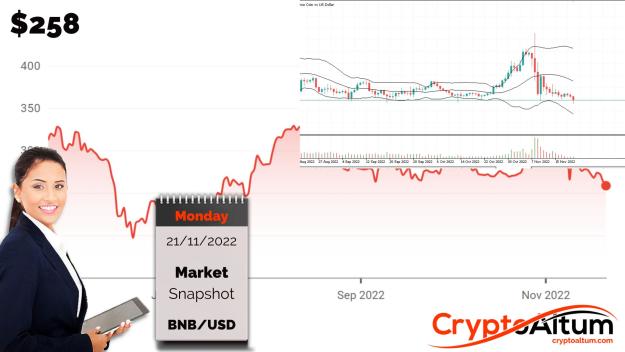 Click to Enlarge

Name: BNB-Prices-Retest-$250.jpg
Size: 167 KB