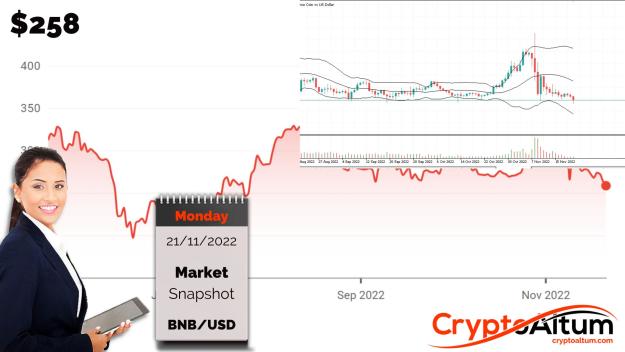 Click to Enlarge

Name: BNB-Prices-Retest-$250.jpg
Size: 167 KB