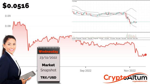 Click to Enlarge

Name: TRX-Inside-Bear-Flag.jpg
Size: 177 KB