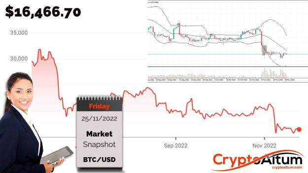 Click to Enlarge

Name: BTC-Traders-Optimistic.jpg
Size: 181 KB