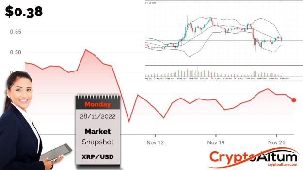 Click to Enlarge

Name: XRP-Up-28-Percent.jpg
Size: 177 KB