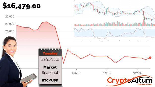 Click to Enlarge

Name: BTC-Prices-are-Steady.jpg
Size: 173 KB