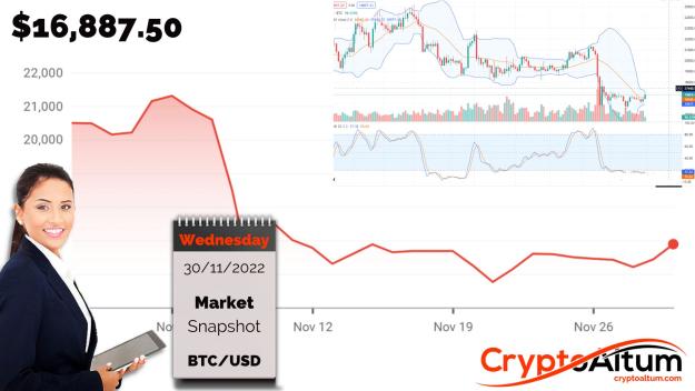 Click to Enlarge

Name: BTC-Gains-8-Percent.jpg
Size: 180 KB